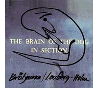 Brain of The Dog in Section