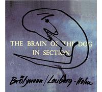The Brain Of The Dog In Section