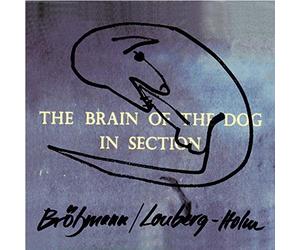The Brain of the Dog in Section