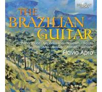 The Brazilian Guitar