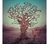 The Brew Shake the Tree (CD) Album