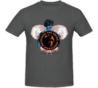 The Brian Jonestown Massacre Fun Tee Shirts for Men Grey L