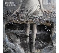 Nad Sylvan – The Bride Said No
