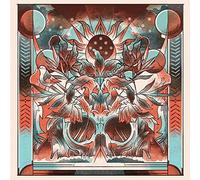 The Broadside Hack - Live from Real World [Vinyl] [Import]