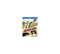 The Brothers Bloom (Blu-Ray)