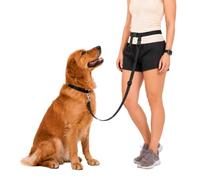 The Buddy System Made in USA Adjustable Hands Free Leash, Great for Running, Regular Dog System, Regular, Black by The Buddy System