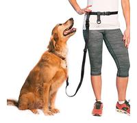 The Buddy System Made in USA Adjustable Hands Free Leash, Great for Running, Regular Dog System, Regular, Black by The Buddy System