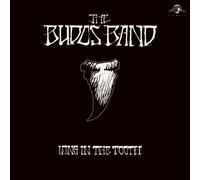 THE BUDOS BAND - LONG IN THE TOOTH CD NEUF