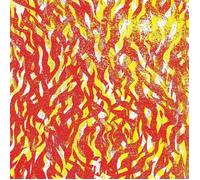 The Bug - Fire
