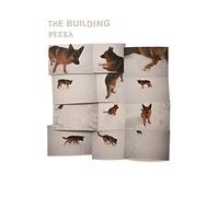 The Building - PETRA [Vinilo]