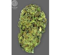 The Bulldog Seeds Tb Sour Diesel Régulier, 3 Et 5 Pièces 3 Paires.