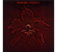 The Burning Red