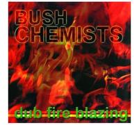 The Bush Chemists - Dub Fire Blazing [Vinyl]