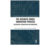 The Business Model Innovation Process