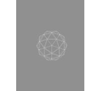 The Business Owner's 90 Day Action Plan