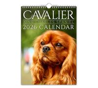 The Calendar King // Cavalier King Charles - Calendrier mural 2025 format A4