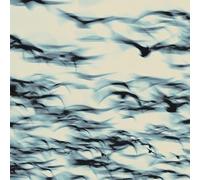 Bellbird – The Call – CD