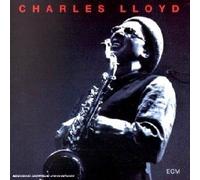 The Call - Dutch Import