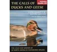 The Calls Of Duck And Geese