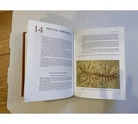 The Cambrian Fossiles of Chengjiang, China : the Flowering of Early Animal Life