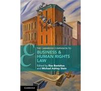 The Cambridge Companion To Business & Human Rights Law