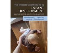 The Cambridge Handbook Of Infant Development