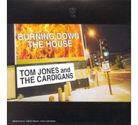 The Cardigans - Burning Down The House