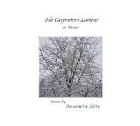 The Carpenter's Lament In Winter