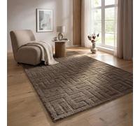 the carpet Elisa Tapis de Salon Moderne, Facile d’Entretien et Robuste, à Forte densité de Velours et agréablement Doux, Motif géométrique, Labyrinthe, Brun, 120 x 160 cm