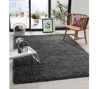 the carpet Green Velvet Tapis de Salon écologique à Poils Longs composé à 100% de Polyester recyclé, Aspect Fourrure Luxueux, Douillet, Anthracite, 120 x 170 cm