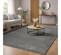 the carpet Marley, Tapis Élégant de Designer, Tapis de Salon, À Poils Courts, Doux, Facile d'entretien, Élégant, Uni, Anthracite, 120 x 170 cm