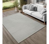 the carpet Parma Tapis Salon, Chambre à Coucher, adapté à l'extérieur, Poil Ras Moderne avec Effet Relief, Doux et Confortable, Gris, 120 x 160 cm