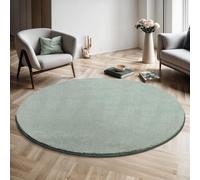 the carpet Relax Tapis à Poils Courts et Moelleux, Dessous antidérapant, Aspect Fourrure, Lavable jusqu'à 30 °C, Super Doux, Vert, 200 x 200 cm Rond