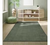 the carpet Relax Tapis Moderne à Poils Courts et Moelleux, Dessous antidérapant, Lavable à 30 degrés, Super Doux, Aspect Fourrure, Vert foncé, 240 x 340 cm