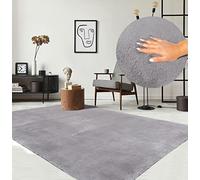 the carpet Relax Tapis Moelleux à Poils Courts, Dessous antidérapant, Lavable à 30 degrés, Super Doux, Aspect Fourrure, Gris, 160 x 220 cm