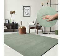 the carpet Relax - Tapis Moderne Moelleux à Poils Courts, antidérapant, Lavable Jusqu’à 30°C, Super Doux, Aspect Fourrure, pour Salon et Chambre, décoratif, Vert, 80 x 150 cm