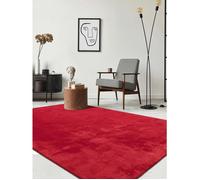 Tapis de salon doux à poils courts, antidérapant