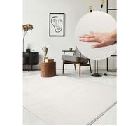 Tapis de salon doux à poils courts, antidérapant