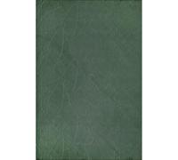 Tapis Salon - THE CARPET - Rio - Antidérapant - Vert - 160x220 cm