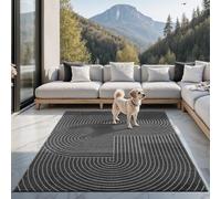 the carpet Santo Plus Tapis Moderne pour Salon, Chambre à Coucher, Anthracite, Style bohème, 200 x 280 cm, en polypropylène