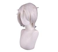 The Case Study of Vanitas Vanitas Noe Archiviste Perruque Cosplay Bleu Noir Blanc Argenté Cheveux synthétiques résistants à la chaleur + un bonnet de perruque