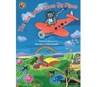 The Cat Who Came By Plane