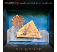 The Catch of a Ghost