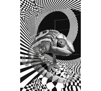 The Chameleon Grid - A Journal of Changing Perspectives: A dot grid notebook for thoughts that shift, evolve, and reappear.