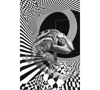 The Chameleon Grid - A Journal of Changing Perspectives: A dot grid notebook for thoughts that shift, evolve, and reappear.