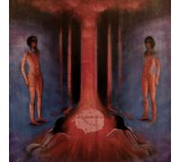 The Chaos in Veins/Deluxe Édition