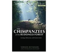 The Chimpanzees Of The Budongo Forest