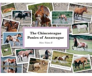 The Chincoteague Ponies of Assateague: Volume II Mares