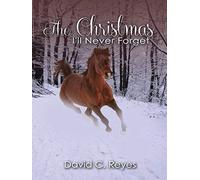 The Christmas I'll Never Forget