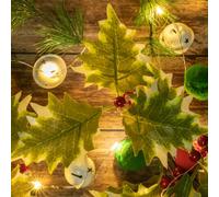 The Christmas Workshop 73999 Guirlande lumineuse de Noël à 20 micro LED à piles Rouge/vert et blanc/blanc chaud